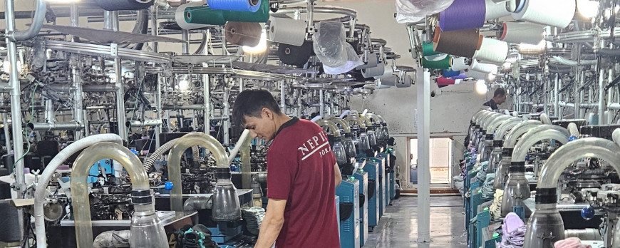 «Nepis» brand plans to enter foreign markets