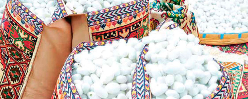 25 tons of silkworm cocoons to be harvested in Balkan velayat