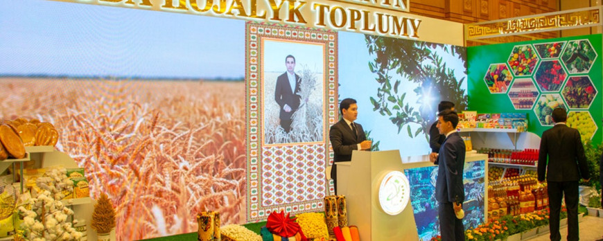 Türkmenistanda galla oragy we pagta idegi dowam edýär